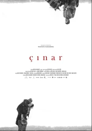 Çınar