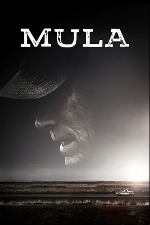Mula Mula