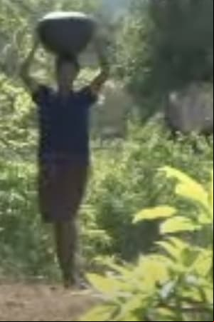 Umjingi Udliwa Yinhlitiyo Umjingi Udliwa Yinhlitiyo