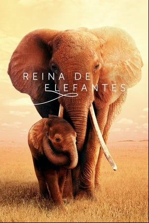 Reina de elefantes