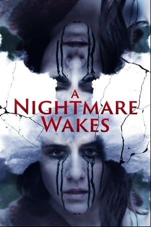 A Nightmare Wakes A Nightmare Wakes