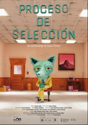 Proceso de selección Proceso de selección
