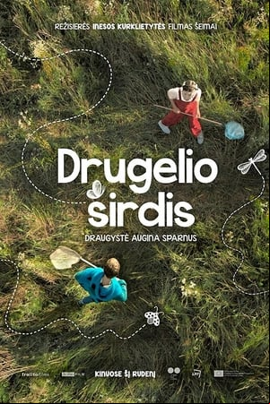 Drugelio sirdis Drugelio sirdis