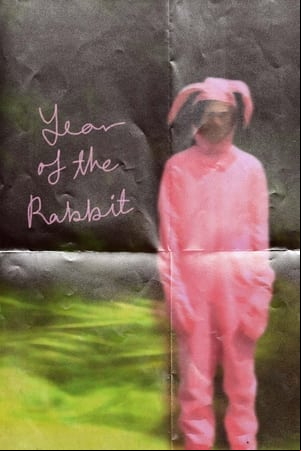 Year of the Rabbit Year of the Rabbit