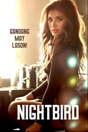 Nightbird Nightbird