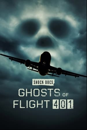 Los fantasmas del vuelo 401 Los fantasmas del vuelo 401