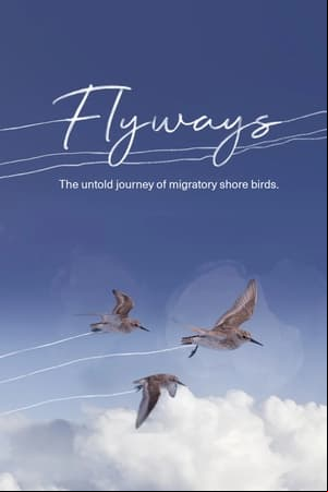 Flyways Flyways