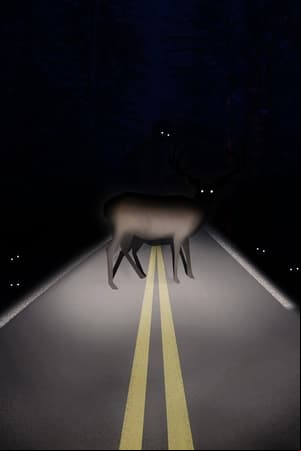 Roadkill