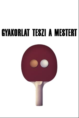 Gyakorlat teszi a mestert Gyakorlat teszi a mestert