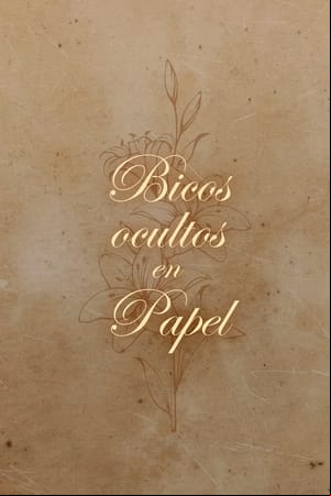 Bicos ocultos en Papel