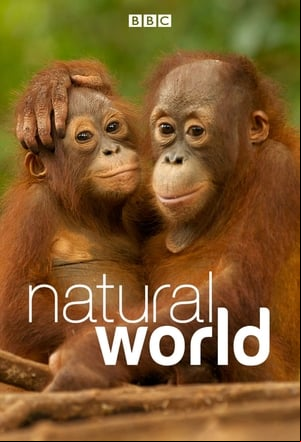 Mundo Natural