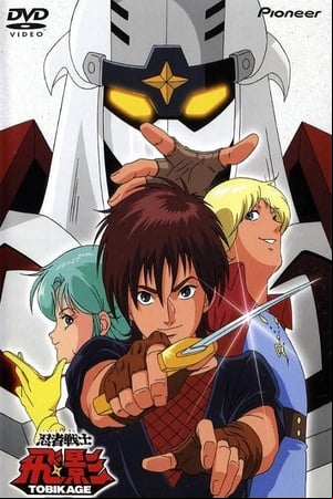 Robots Ninjas