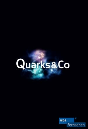 Quarks