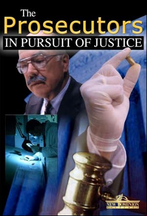 The Prosecutors: In Pursuit Of Justice