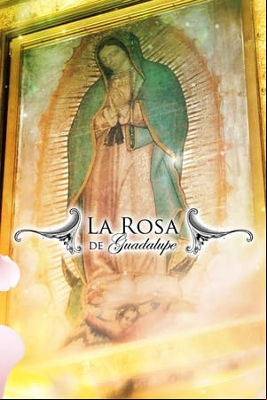 La rosa de Guadalupe La rosa de Guadalupe