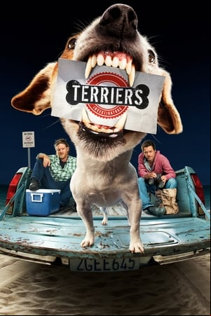 Terriers Terriers