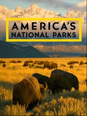 Au coeur des parcs nationaux dAmérique