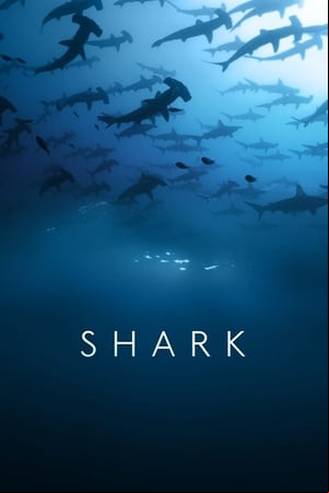 Tiburones Tiburones