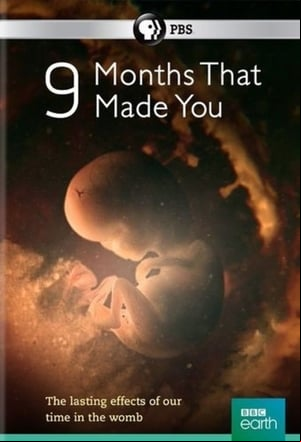 9 meses, el origen de lo extraordinario