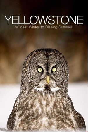 Yellowstone: El gran deshielo