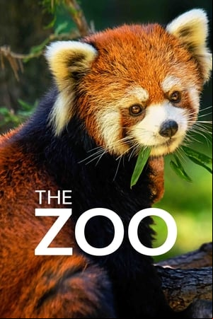 The Zoo The Zoo