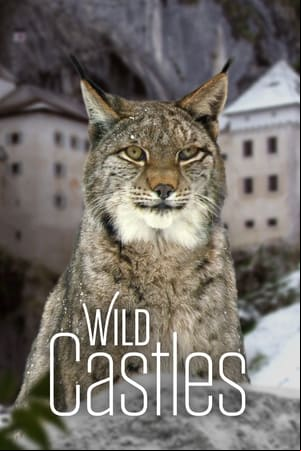 Wild Castles