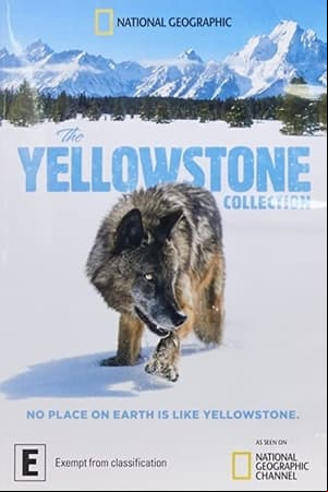 The Yellowstone Collection