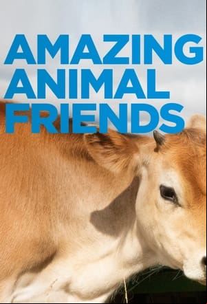 Amazing Animal Friends