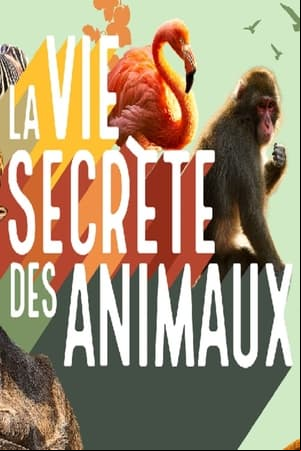 La vie secrète des animaux