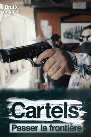 Cartels, er la frontière