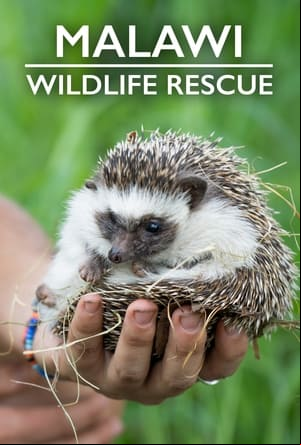 Malawi Wildlife Rescue Malawi Wildlife Rescue