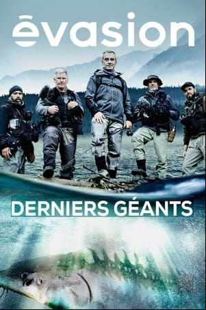 Derniers géants Derniers géants