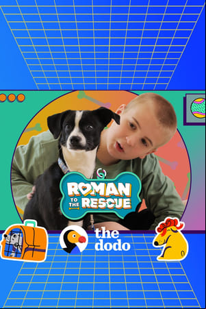 Roman to the Rescue