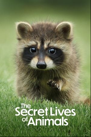 La vida secreta de los animales