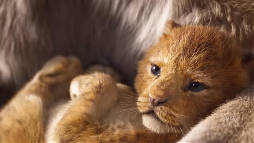 Así es el alucinante primer tráiler de ‘El rey león’ de acción real