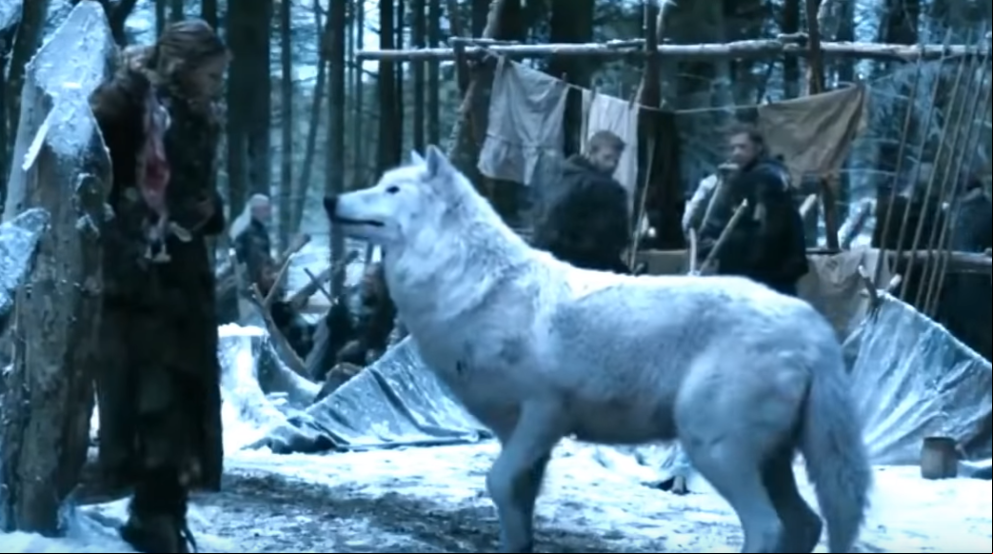 R. R. Martin y Juego de Tronos hacen un flaco favor a los huskies