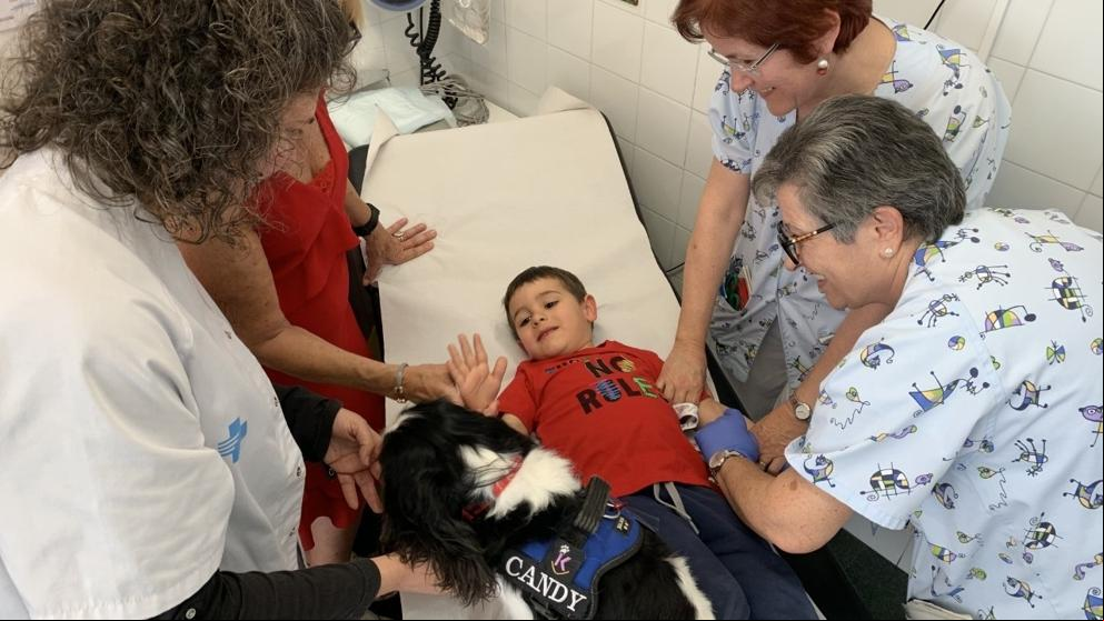 Nueva terapia con perros para distraer a niños en análisis y extracciones dentales