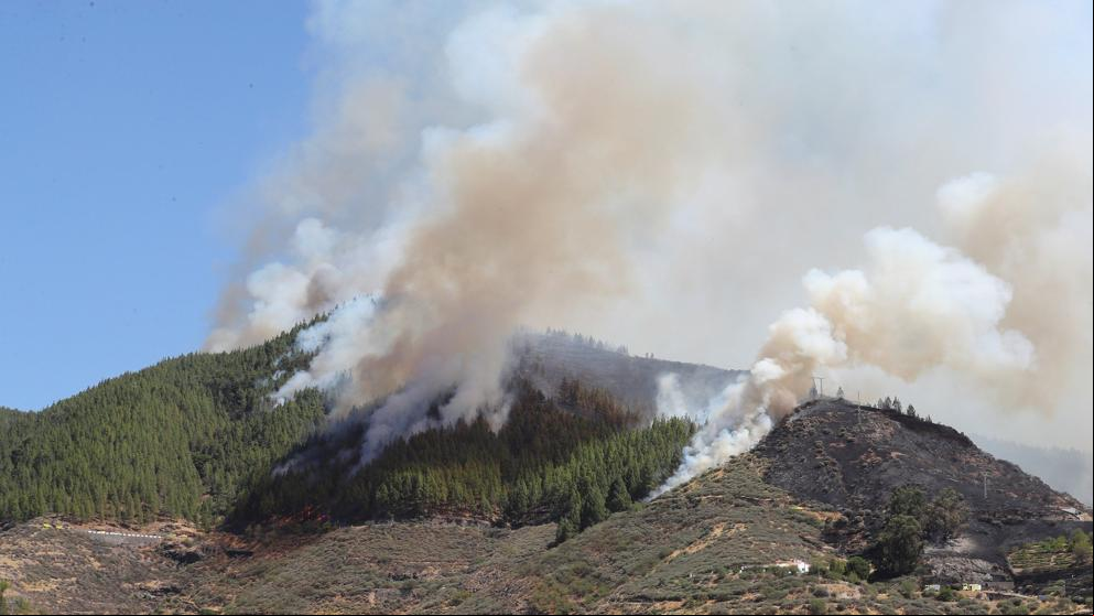 El incendio de Gran Canaria ya ha quemado 900 hectáreas