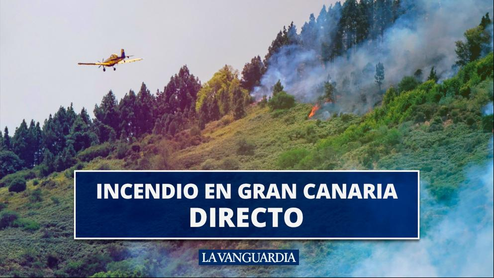 Incendio de Gran Canaria: Estabilizado con un devastador resultado, en directo