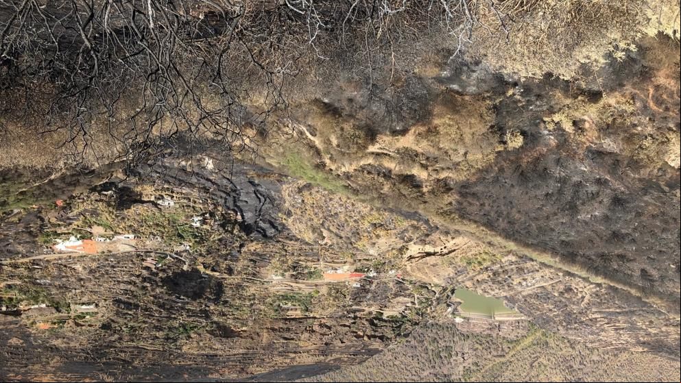 Extinguido el primero de los tres incendios declarados en Gran Canaria
