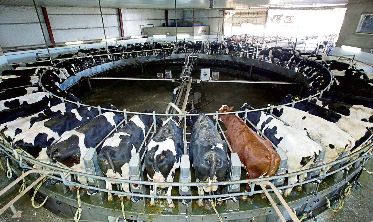 La gran revolución de la industria alimentaria