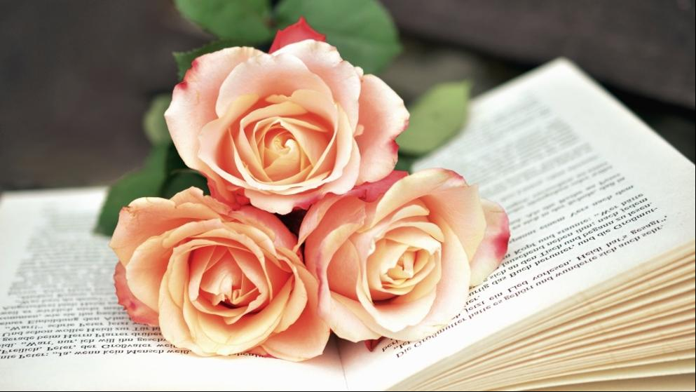 8 títulos literarios con los que enamorarte este San Valentín