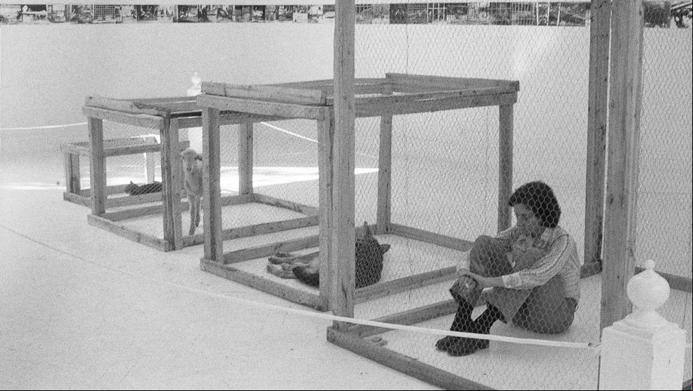 El Macba celebra los 25 años con cuatro exposiciones conceptuales sobre los 90