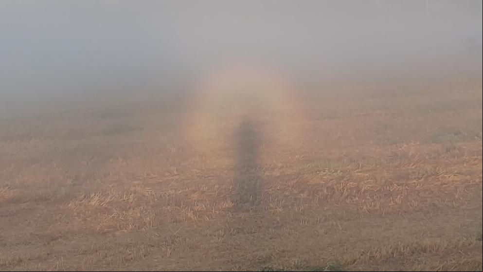 ¿Has visto el inquietante espectro de Brocken?