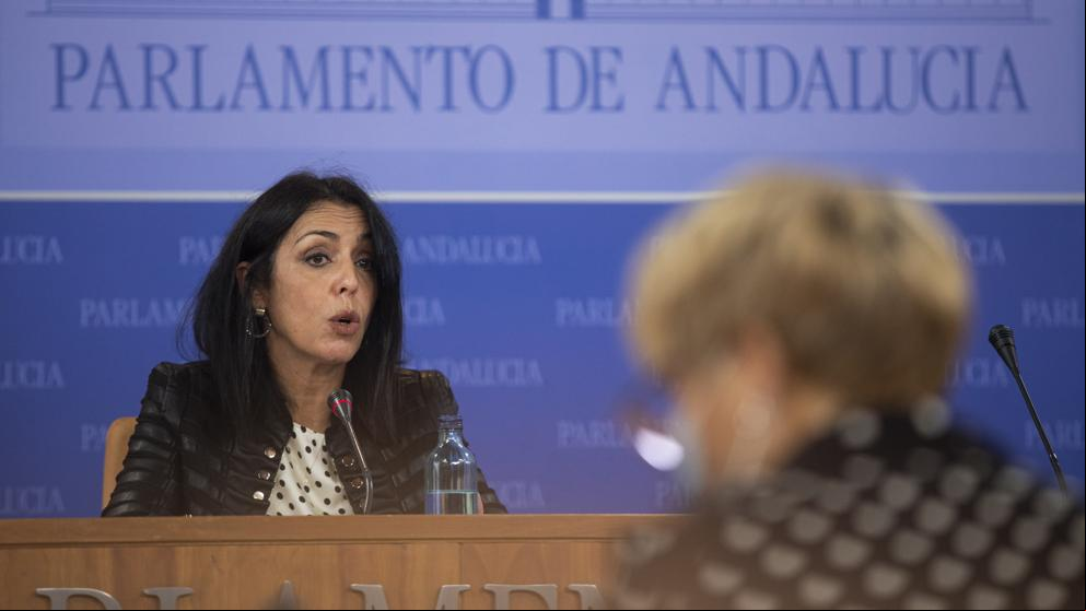 Ciudadanos no quiere jaleos y resta importancia al exabrupto del portavoz de Vox